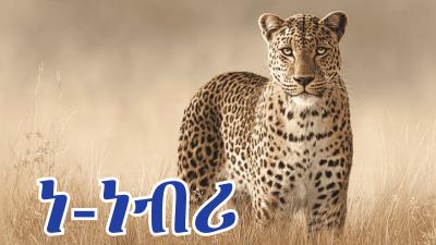ፊደል ነ  Fidel Ne  Tigrinya Alphabet Song for Kids  Mezmur Hxanat  Taha