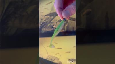 Fishing tips спінінг bassfishing fishing tutorial sportfishing рибалка angler fishingtips