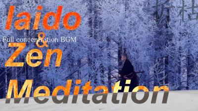 Iaido Meditation Part 20 30 Minutes of Samurai Sword Training for Deep Focus and Calmness in Winter