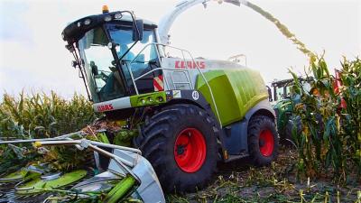 Jedyny taki zestaw  Forterra 150HD  Umega Kukurydza 2018  Jaguar 940  GR. Kraszewski