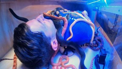 Laying in a Box of Snakes  OT 9