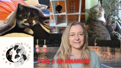 Le VLOG du DIMANCHE  les coulisses storytime motivation humour vlog hp bijoux