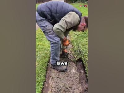 Learning Outdoor Home Maintenance  Lawn Care  Clean Up on the Go shorts satisfying gardening