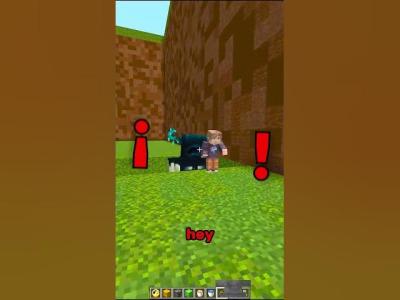 Minecraftta Zaman Durması  shorts