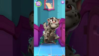 My Talking Tom 2 Live Gameplay New Funny Reactions  Gaming Entertainment