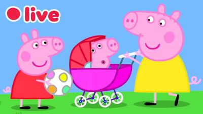  Peppa Pig IN DIRETTA Episodi Completi Cartoni per Bambini  Peppa Pig Italiano