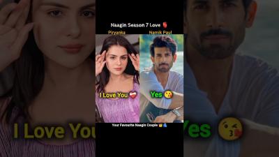 Priyanka And Namik Paul Love Status  Naagin Season 7  piryanka namikpaul naagin7 love