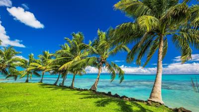 Relaxing Bossa Nova Ocean Waves and Peaceful Beach Music for Vacation Mood