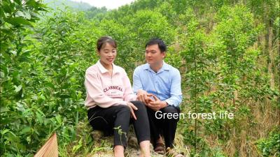 Robert and Mai are preparing for their wedding. Green forest life