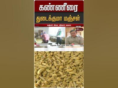 மஞசள வல கறவ shorts