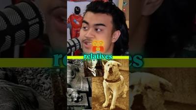 The Sad Story Of Hachiko jumpersjump podcast shorts