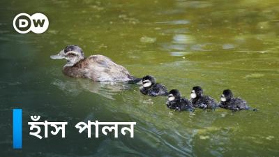 তনট হস বদল দয়ছ একট গরম