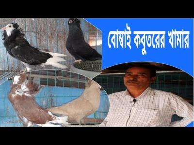 অবসরপরপত সরকর করমকরতর বড়র ছদ বমবয কবতরর খমরপরব ১৬৩