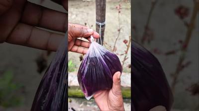 WowThe Plastic Bag is Knotted and Watertight