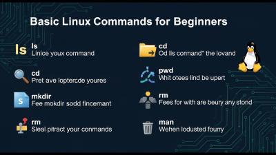 20 Basic Linux Commands for Beginners