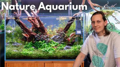60cm Nature Aquarium von David  Liquid Nature Aquarium Vorstellen