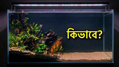 Aquarium Setup Bangla  কম খরচ Fish Tank থক Aquascape  Complete Beginners Guide