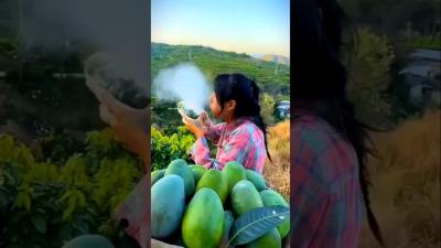 Benefits of Hybrid Farming in China 