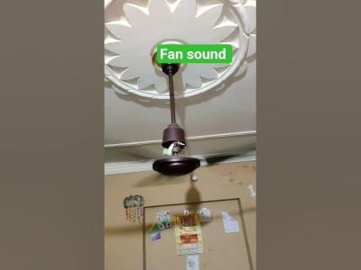 Ceiling Fan Noise Problem  Original Sound Check