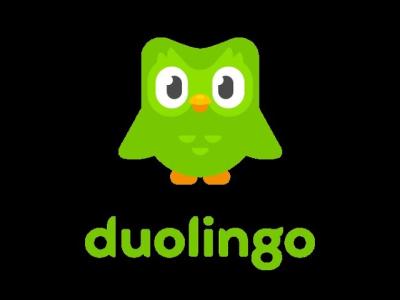 Duolingo 976 Dutch  English Part 1  Go On A Trip