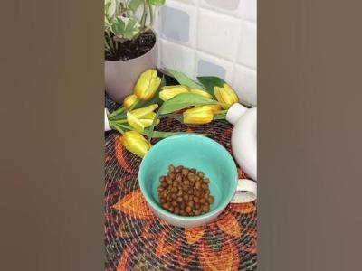 Healthy Chana Souprecipe dailyshort chanasouphaldvaniskitchen subscribe youtube