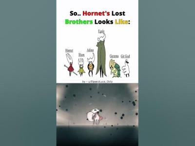Hornets Lost Brothers Be Like  Silksong
