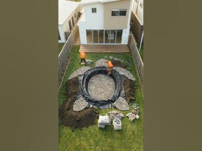 I Built a Giant Turtle Pond in My Backyard