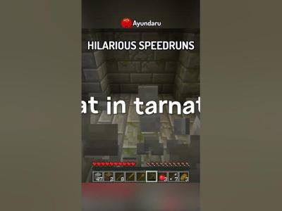 I Found The Funniest FAKE Minecraft Speedrun