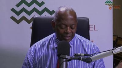 Job Sikhala on ZanuPFs Push to Extend Mnangagwas Rule