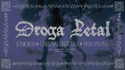 Junior H x Gael Valenzuela x Peso Pluma  DROGA LETAL Official Visualizer