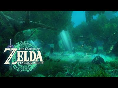  Korok Forest NightSleep  Study AmbienceZelda Tears of the KingdomRelaxing BGM