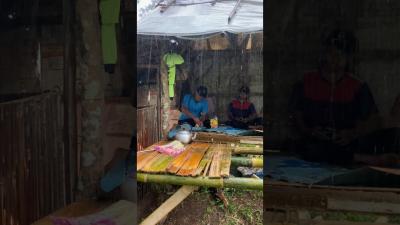 Rainy Forest Sanctuary Perfect Ambience for Reading or Sleeping ASMR SlowLiving Nature Peaceful