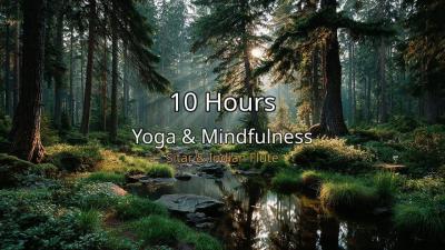 Stretch Breathe  Relax 396Hz Yoga  Mindfulness Music  Sitar Meditation