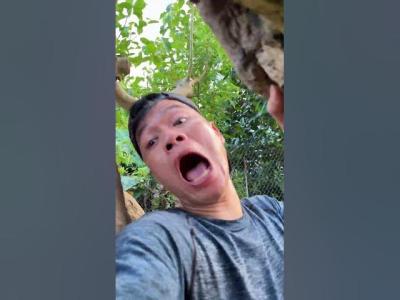 Surviving a Zombie Attack in the WildSurvivalSkills Forest ZombieAttack