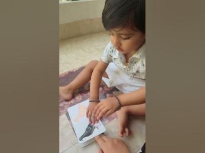These books helped me a lot baby toddlers learning viralvideo toddlershow youtubekids birds