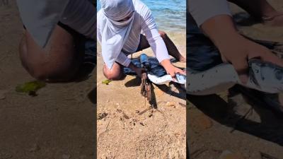 waves  survival fishing shorts AdiFishman RAWWFishing Banglaamar195