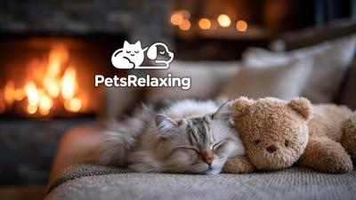 Zen Cat Music Relaxing Music with Cat Sounds  Purring for Sleep