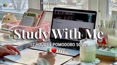  12 HR STUDY WITH ME  Pomodoro 5010  Relaxing Fireplace Sound