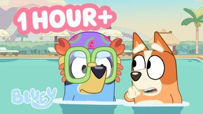 Blueys Swim School  Clip Compilation   Bluey