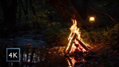 Hidden Campfire by the Forest Stream  Deep Night Ambience for Sleep  Relaxation 4K
