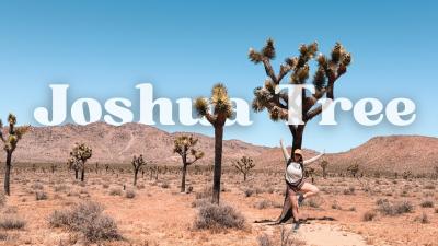 Joshua Tree National Park in 24 Hours  Hikes Oasis  Desert Views Travel Vlog
