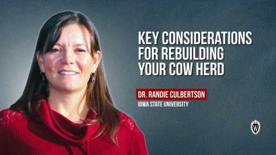 Key Considerations for Rebuilding Your Cow Herd