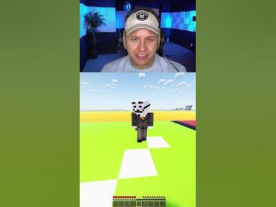 LÜGE ODER WAHRHEIT minecraft hacker