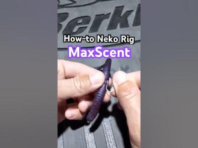 Neko Rig and Shakey Head with a MaxScent Hit Worm. JLee Fishing Tips