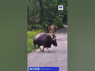 കടടകമപന കടടപതത ഒര ഫരയമൽ പതതണട  നലലയമപത ചര പതയല കഴച Palakkad