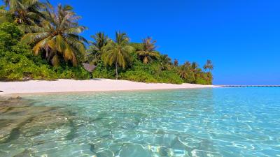  Paradise Found Wild Beach and Crystal Ocean Waters. Relaxing Ocean video 4K Ultra HD