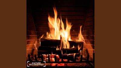 Relaxing Fireplace Ambience for Sleep