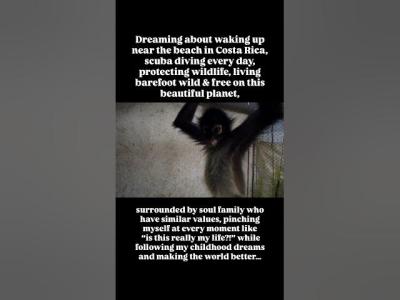 Youre dreaming of BIGGER but still waiting in Smallness Settling Stuckness Stagnancy Not my