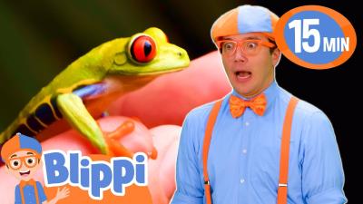 Blippi Out In The Wild  Cars  Truck Videos for Kids