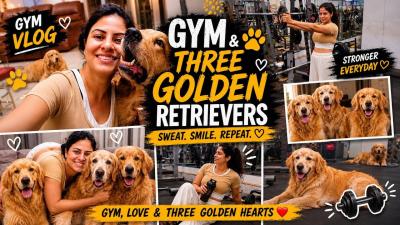 Dailly Gym Vlogging with three golden retrievers family vlog  shoulder workout gym  Dogs videos